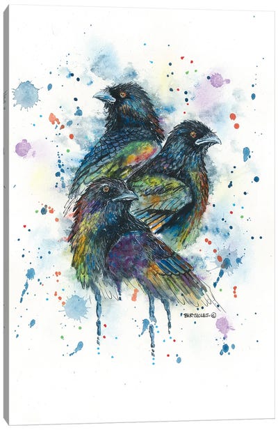 Raven Trio Canvas Art Print - Dave Bartholet