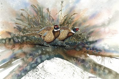 The Sneakers by Dave Bartholet framed canvas print