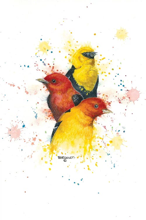 Songbird Trio II by Dave Bartholet wall art