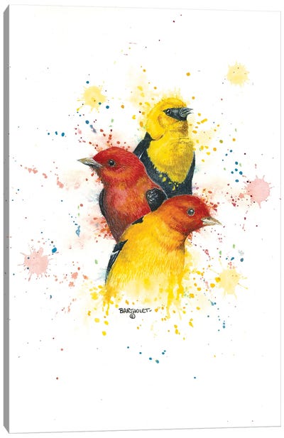 Songbird Trio II Canvas Art Print - Dave Bartholet