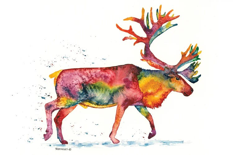 Rainbow Caribou by Dave Bartholet wall art