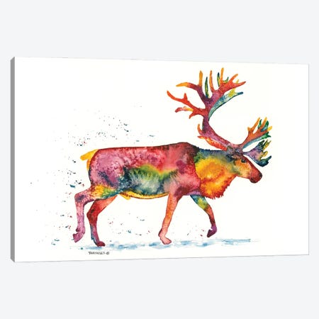 Rainbow Caribou Canvas Print #DBT6} by Dave Bartholet Canvas Wall Art