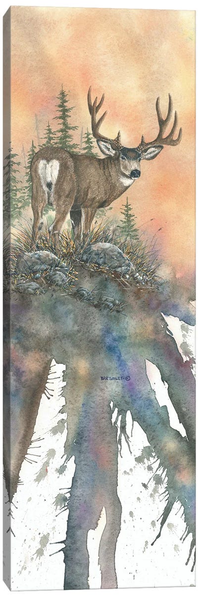 Sunset Muley Canvas Art Print - Dave Bartholet