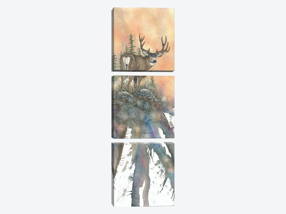 Sunset Muley 3-piece Canvas Art