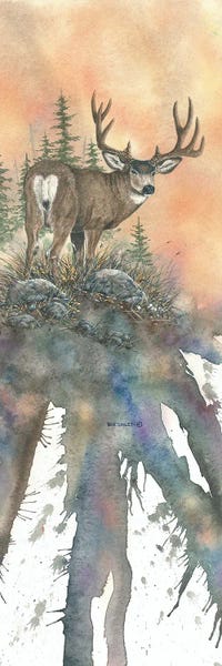 Dave Bartholet: Sunset Muley by Dave Bartholet