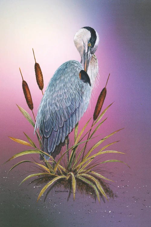 Sunset Heron by Dave Bartholet wall art