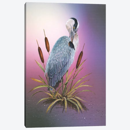 Sunset Heron Canvas Print #DBT72} by Dave Bartholet Art Print