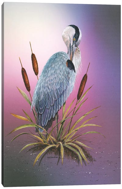 Sunset Heron Canvas Art Print - Dave Bartholet