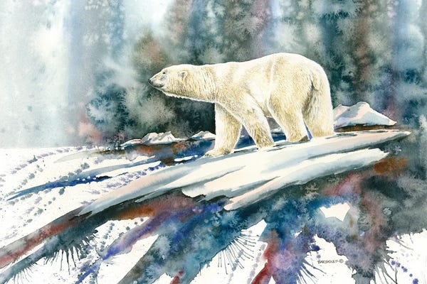 Polar Bears: Seal The Deal by Dave Bartholet