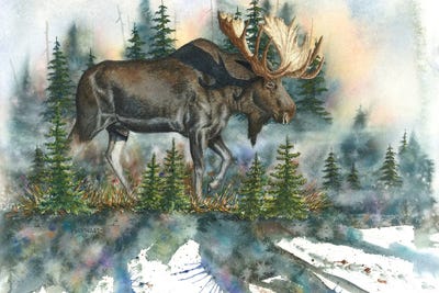 The Loner by Dave Bartholet canvas print