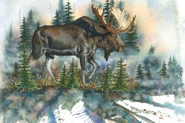 Dave Bartholet: The Loner by Dave Bartholet