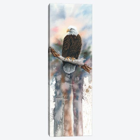 The Perch Canvas Print #DBT78} by Dave Bartholet Canvas Print