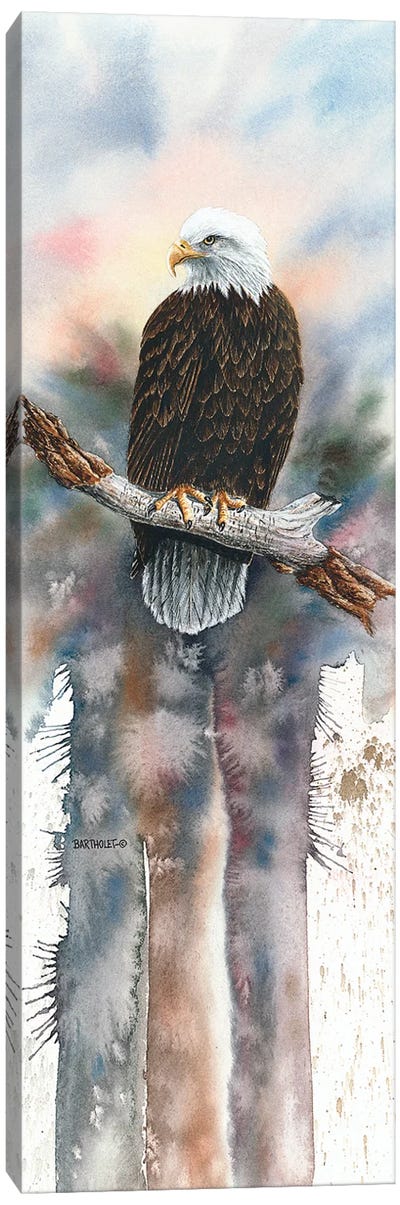 The Perch Canvas Art Print - Dave Bartholet