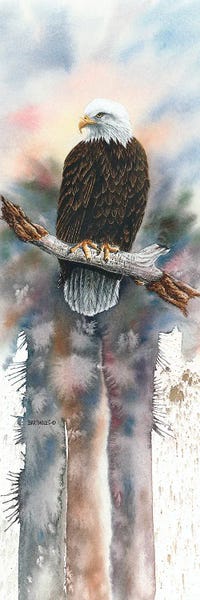 Dave Bartholet: The Perch by Dave Bartholet