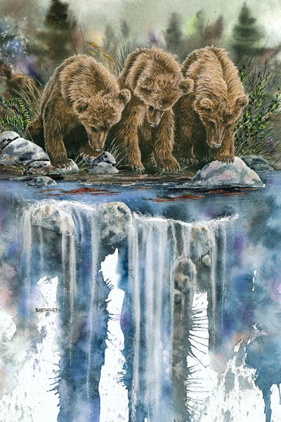 Dave Bartholet: Looks Like Sockeye To Me by Dave Bartholet