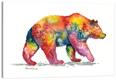 Rainbow Grizz Canvas Art Print - Dave Bartholet