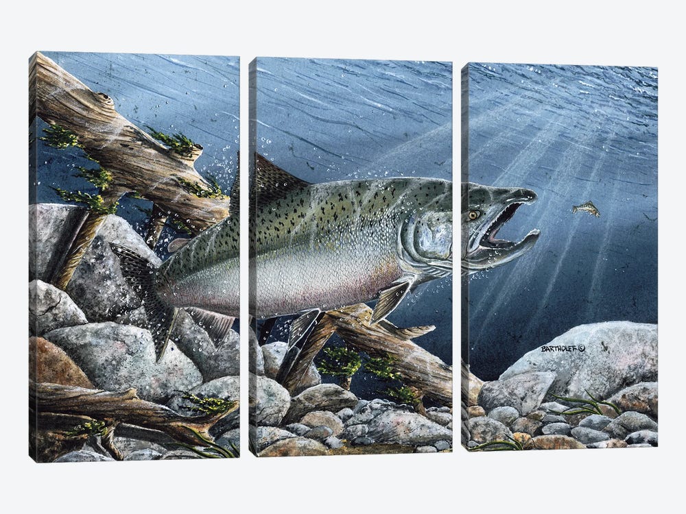 Tyee by Dave Bartholet 3-piece Canvas Art Print