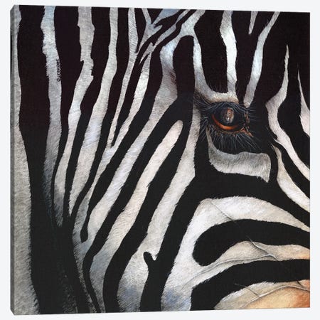 Zebra Canvas Print #DBT83} by Dave Bartholet Canvas Art
