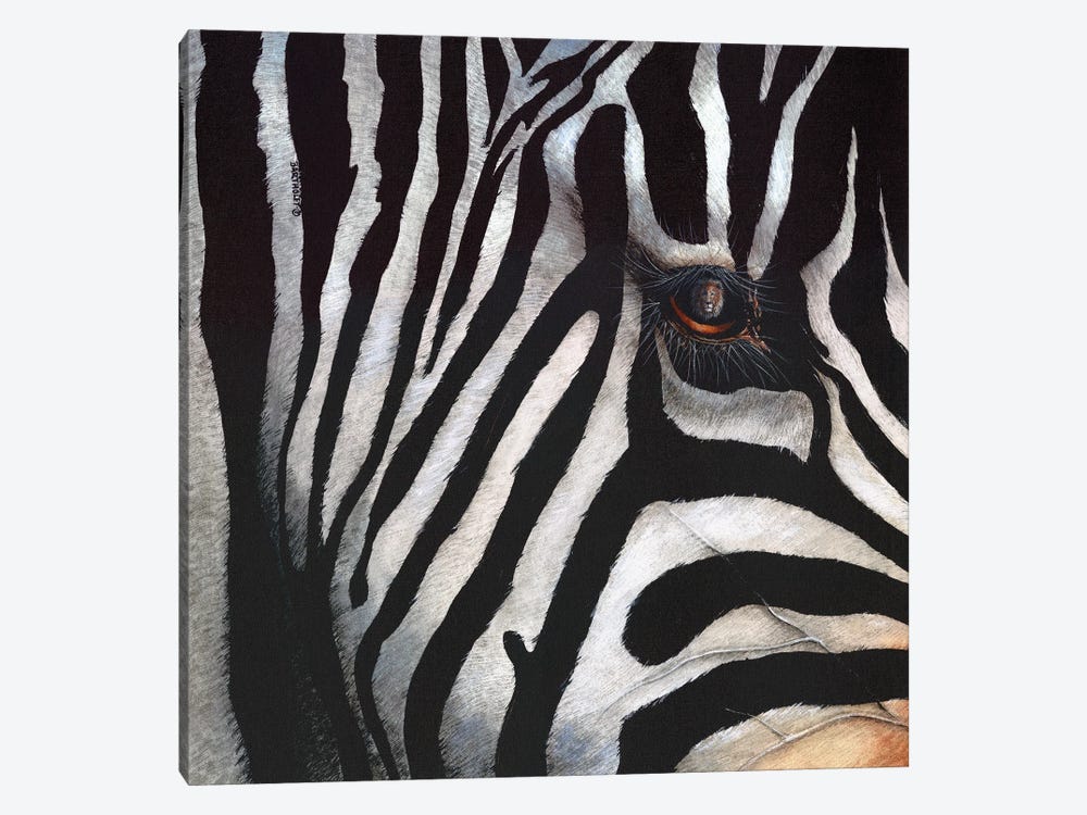 Zebra by Dave Bartholet 1-piece Canvas Artwork