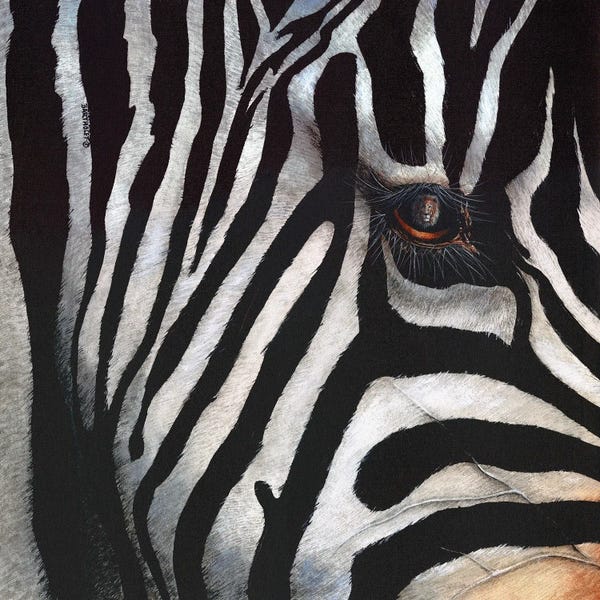 Dave Bartholet: Zebra by Dave Bartholet