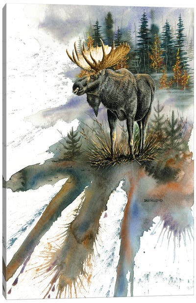 Woodland Majesty Canvas Art Print - Dave Bartholet