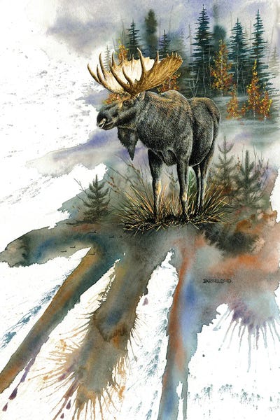 Dave Bartholet: Woodland Majesty by Dave Bartholet