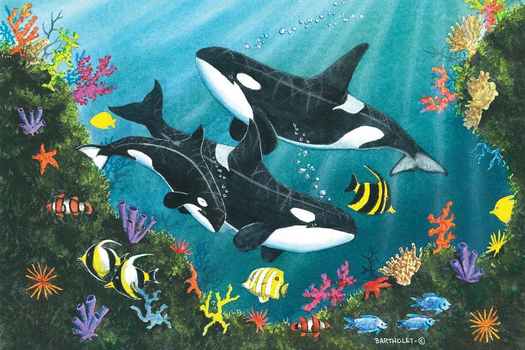 Orca Joy by Dave Bartholet wall art