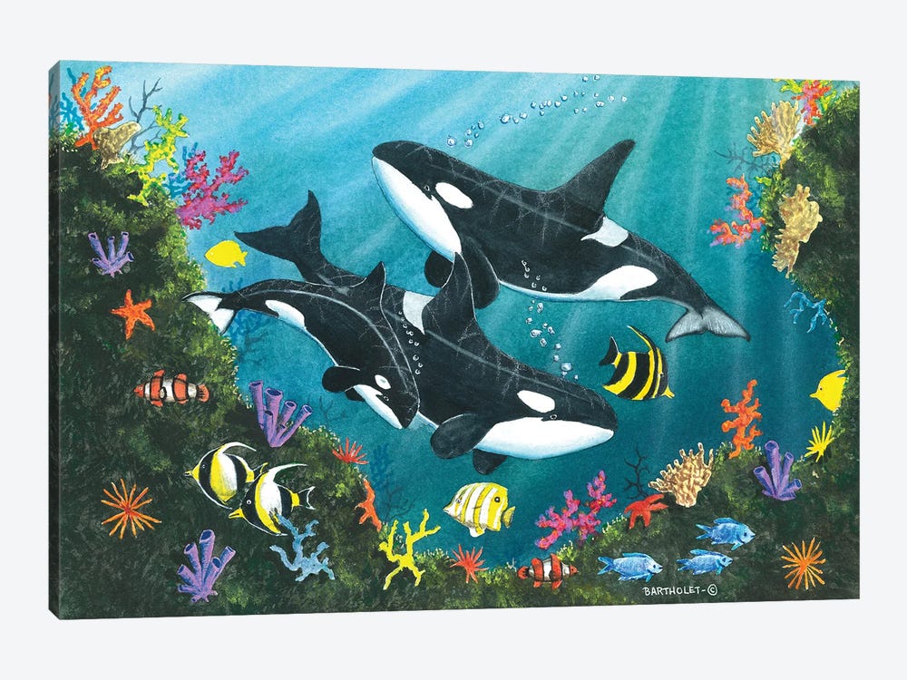 Orca Joy by Dave Bartholet 1-piece Art Print