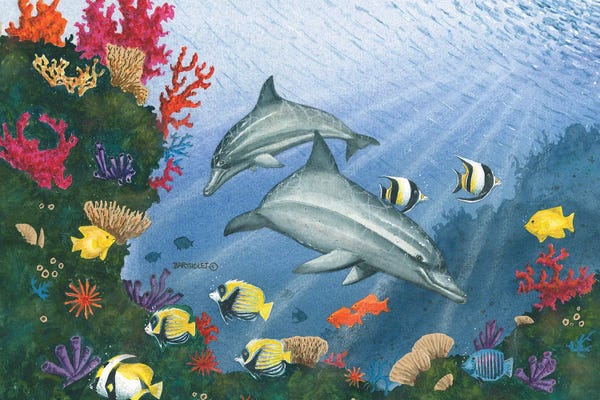 Dave Bartholet: Dolphin Fun by Dave Bartholet