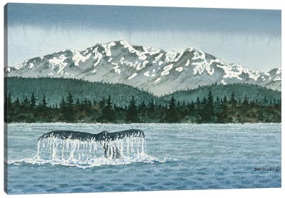 The Olympics Canvas Art Print - Whale Art