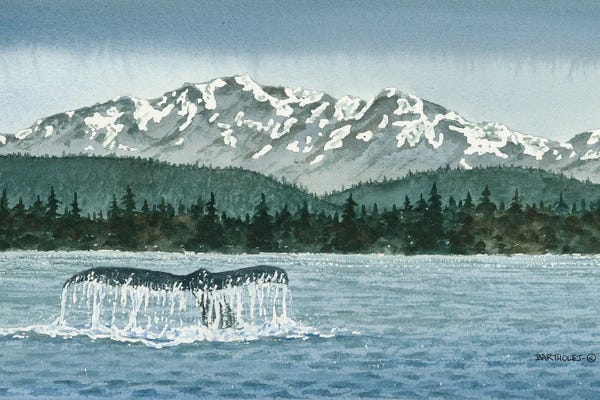 Dave Bartholet: The Olympics by Dave Bartholet