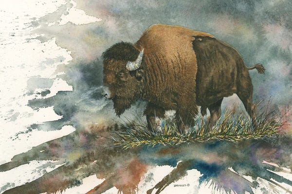 Dave Bartholet: The Search by Dave Bartholet