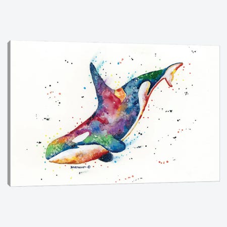 Rainbow Orca Canvas Print #DBT93} by Dave Bartholet Canvas Art Print