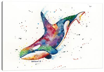 Rainbow Orca Canvas Art Print - Orca Whale Art