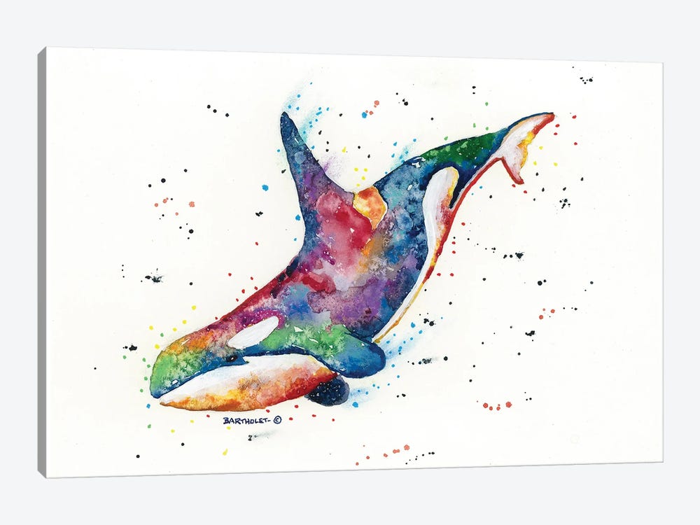 Rainbow Orca by Dave Bartholet 1-piece Art Print