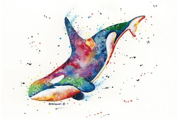 Dave Bartholet: Rainbow Orca by Dave Bartholet