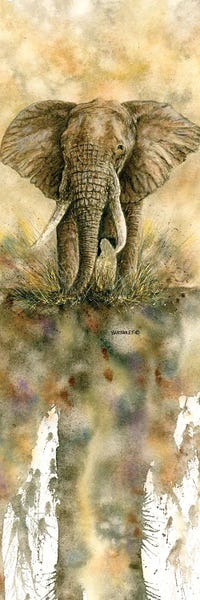 Dave Bartholet: False Charge by Dave Bartholet