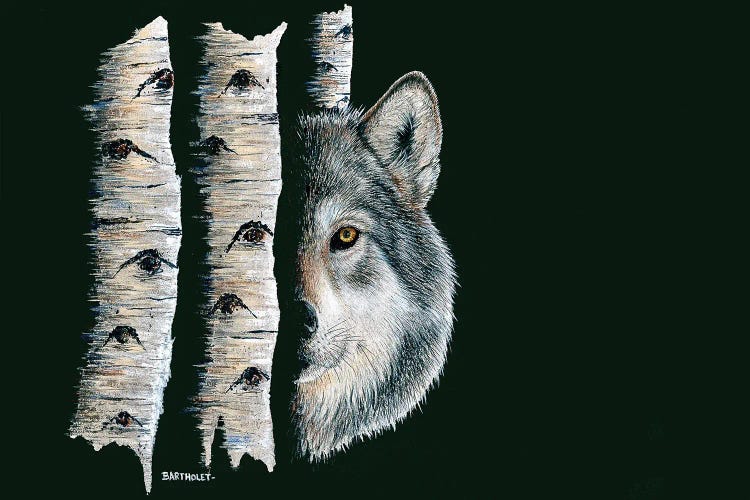 Shadow Dance by Dave Bartholet wall art