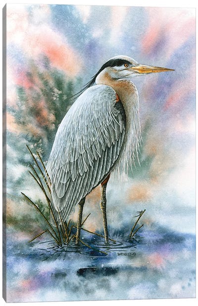 Marsh Master Canvas Art Print - Dave Bartholet