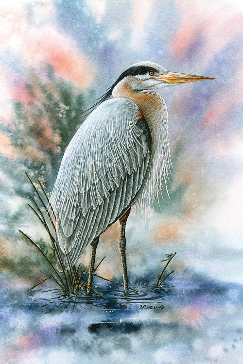 Marsh Master by Dave Bartholet wall art