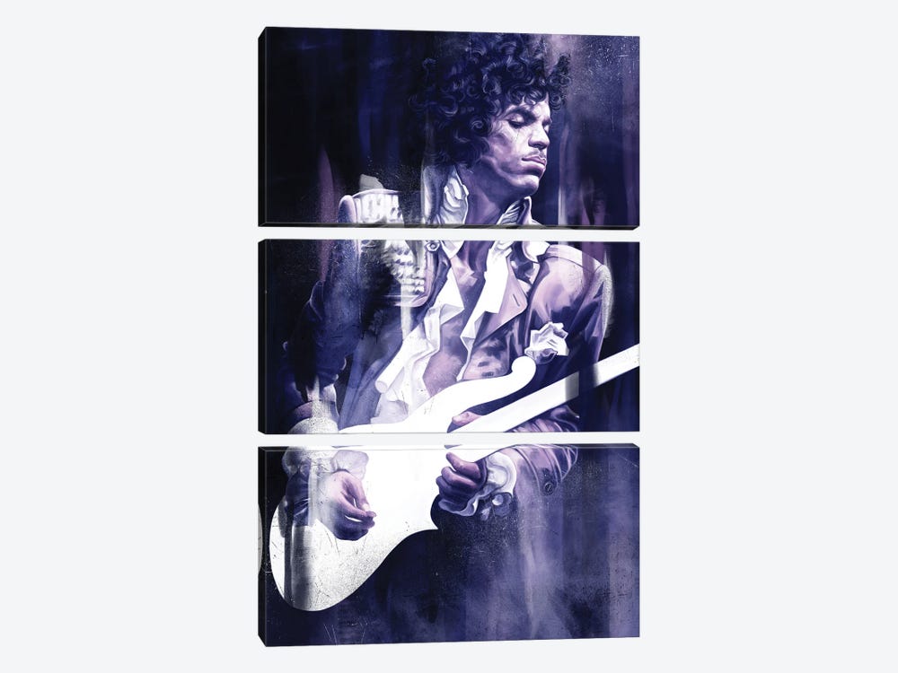 Prince 3-piece Canvas Print