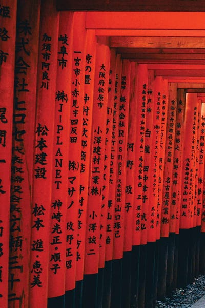Japan: Torii Gates by Dmitry Belov