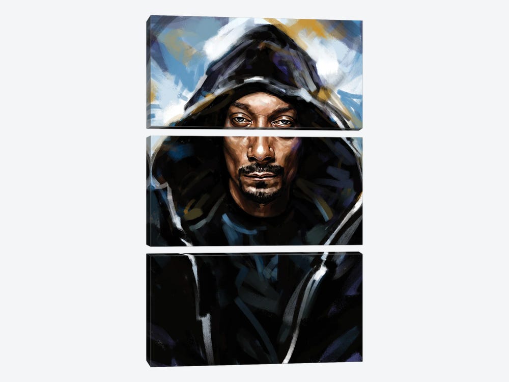 Snoop by Dmitry Belov 3-piece Canvas Wall Art
