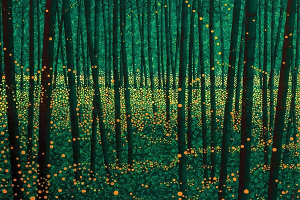 Forests: Lightning Bugs by DB Waterman