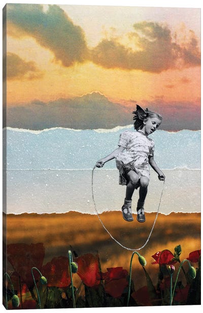 Poppies Canvas Art Print - DB Waterman