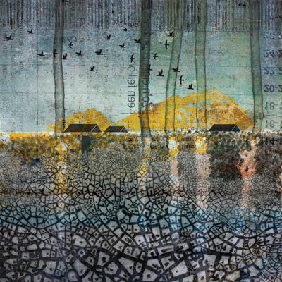 Scars In The Earth by DB Waterman canvas print