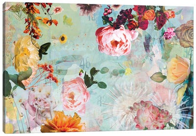 Bloom Of Rose Canvas Art Print - DB Waterman