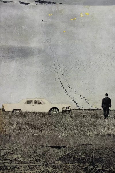 Desert Trail by DB Waterman metal wall art