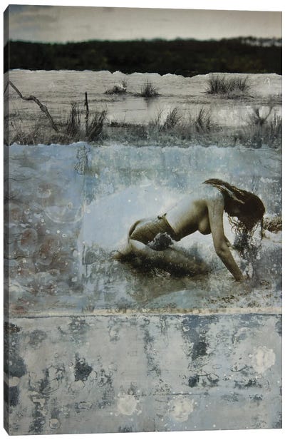 What Lies Tangled Canvas Art Print - DB Waterman