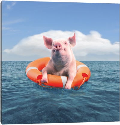 Pig On Vacation Canvas Art Print - Pig Art